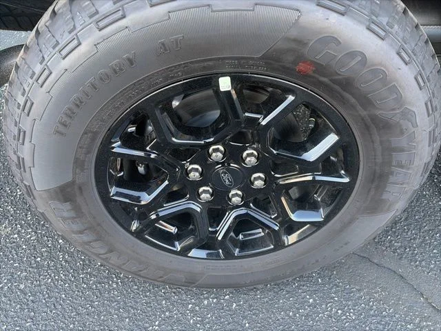 New 2026 Gray Ford STX image 10