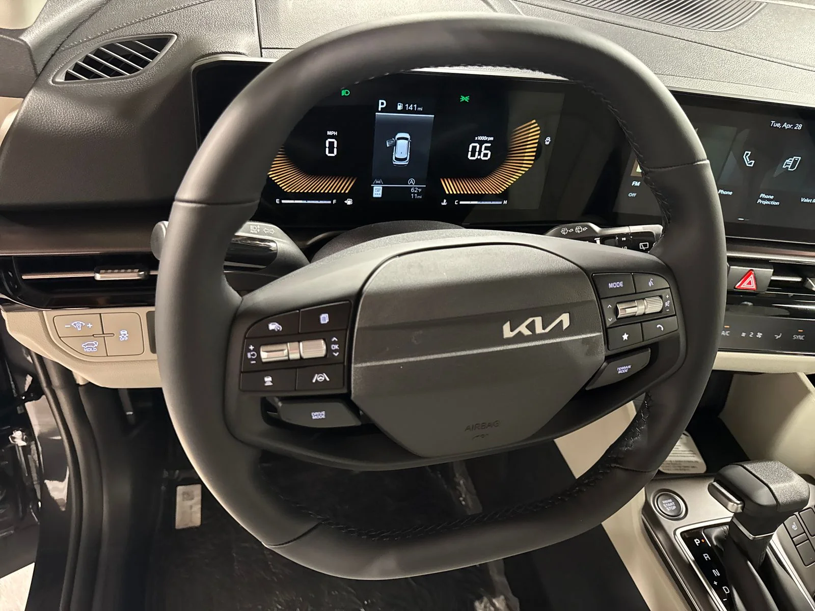 New 2026 Panthera Metal Gray Kia EX image 15