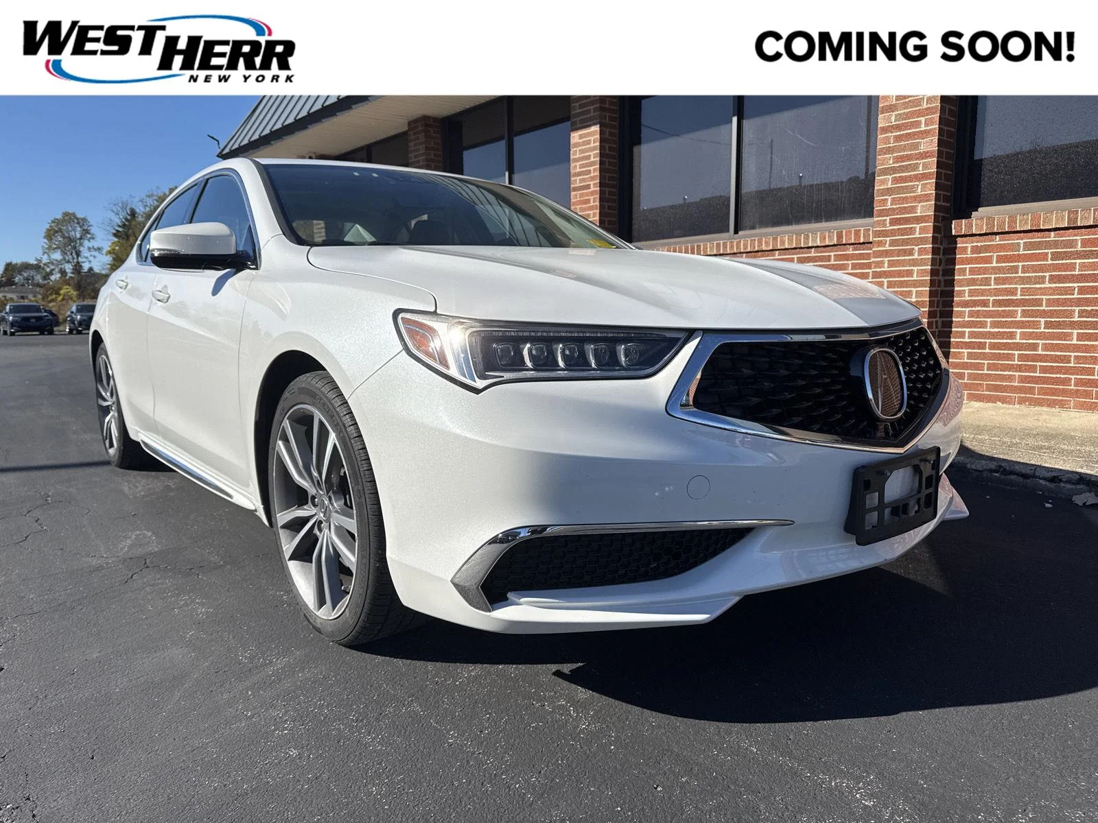 2020 Acura TLX