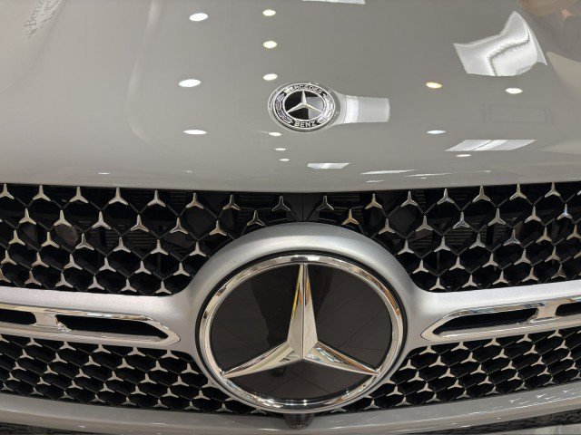 New 2026 MANUFAKTUR Alpine Grey Mercedes-Benz  image 36