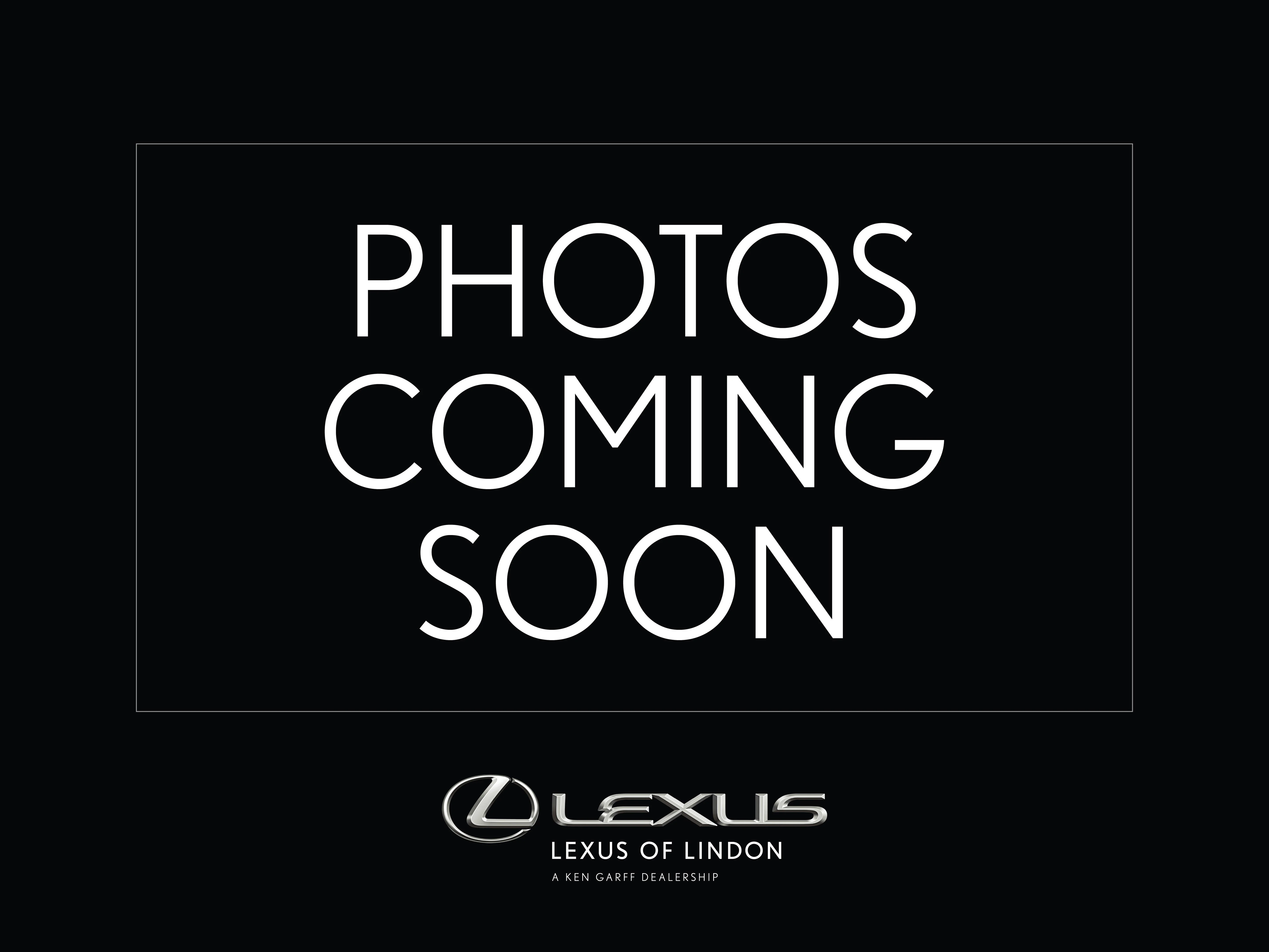 2020 Lexus NX 350 300 F SPORT AWD's photo