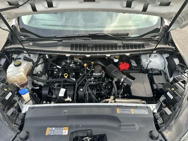 Used 2019 White Platinum Clearcoat Metallic Ford SEL image 19