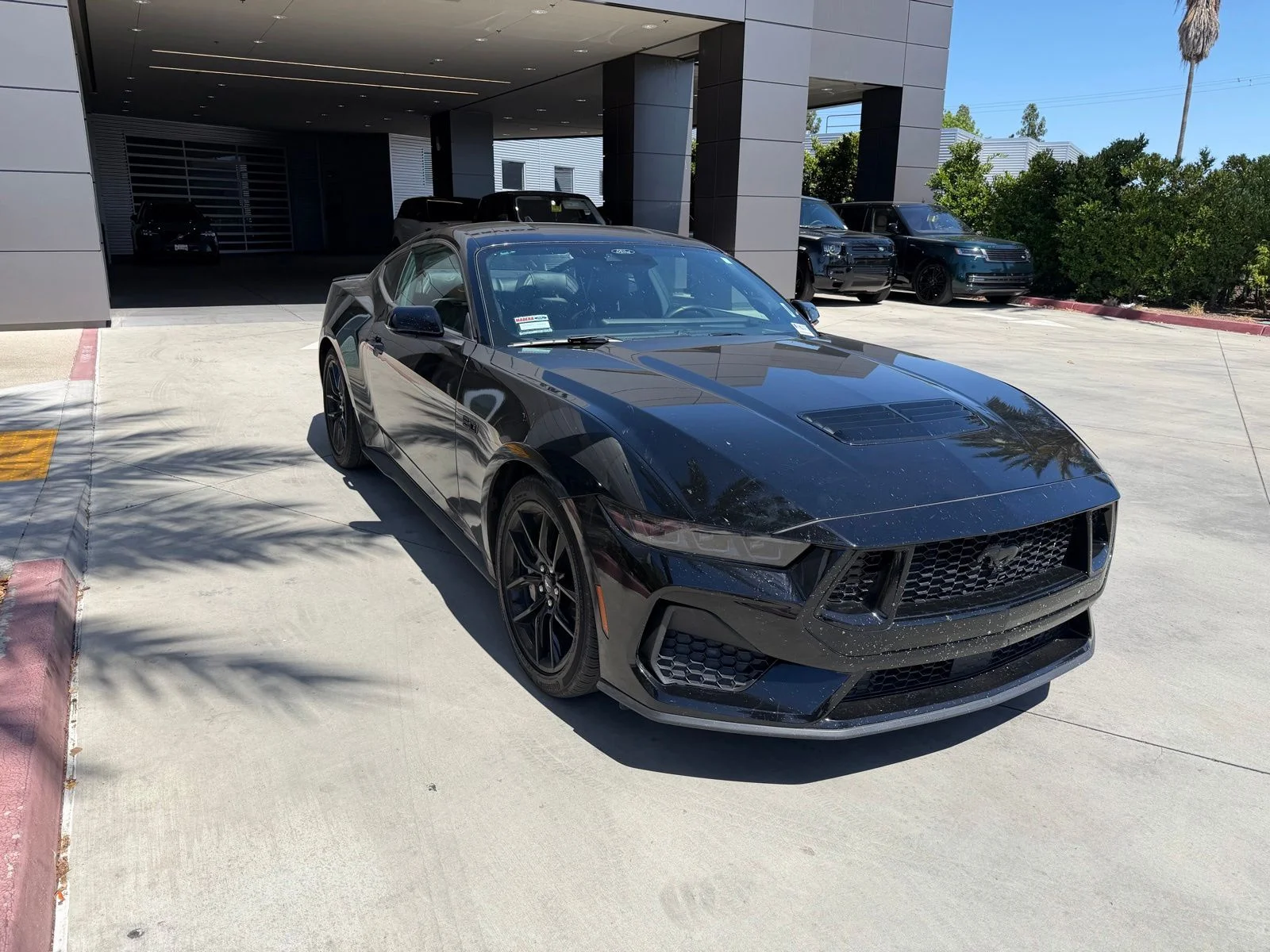 Used 2024 Black Ford GT Premium image 3