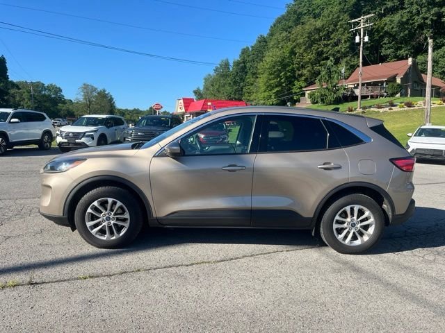 Used 2020 Desert Gold Metallic Ford SE image 9