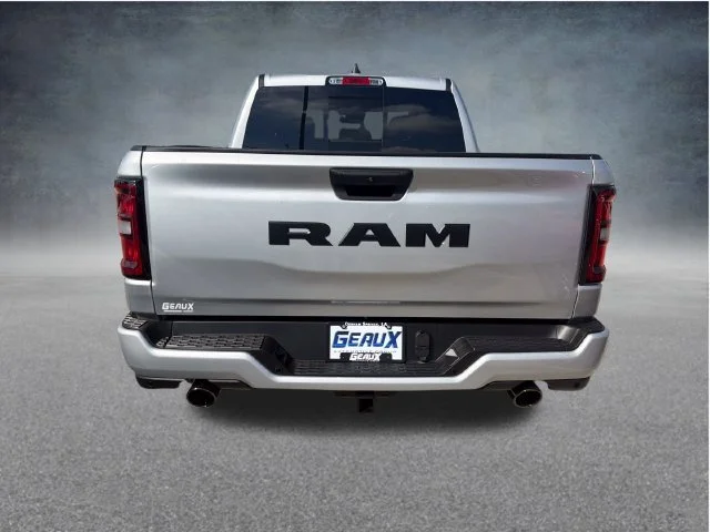 New 2027 Silver Zynith Exterior Paint RAM Express image 6