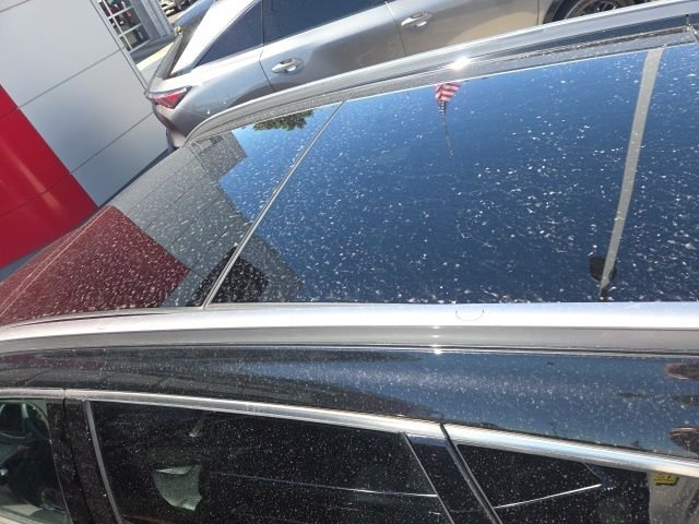Used 2023 Black Hyundai Calligraphy image 6
