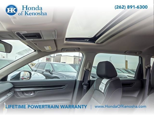 New 2026 Urban Gray Pearl Honda AWD EX image 8