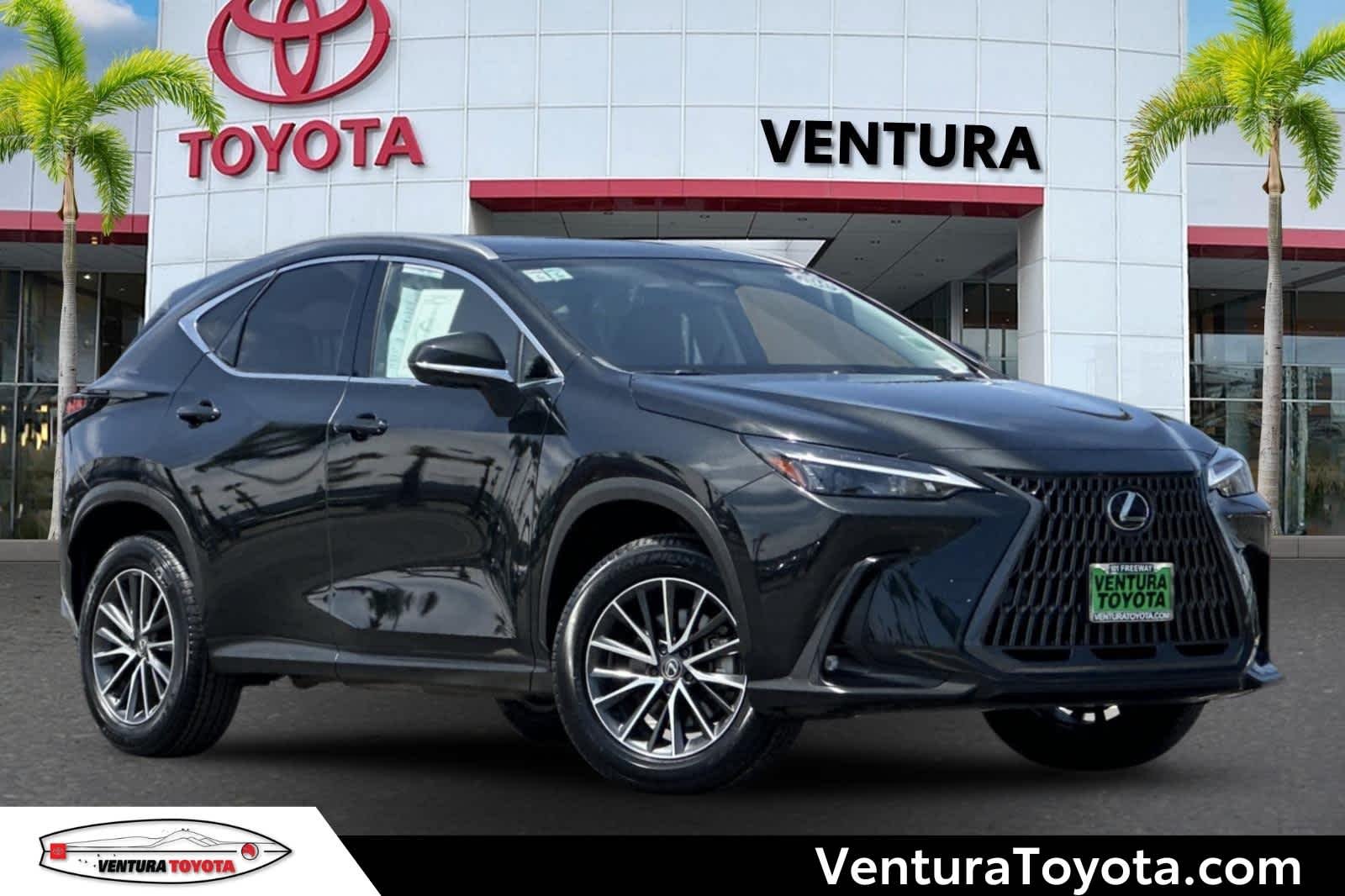 2024 Lexus NX 350h 350h Premium AWD's photo