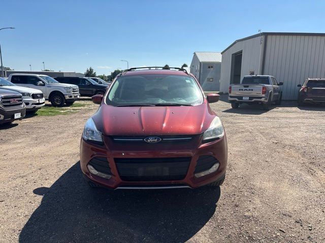Used 2016 Orange Ford SE image 4