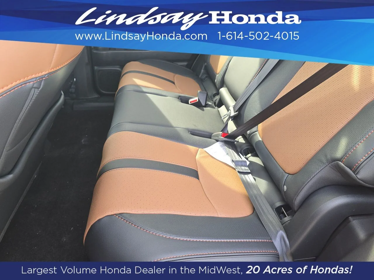 New 2026 Sunset Orange Honda TrailSport Elite image 3