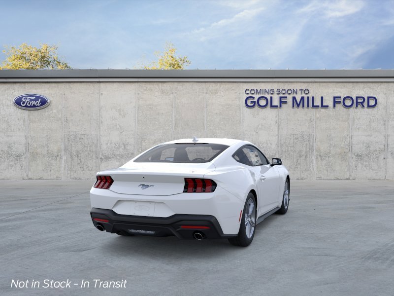New 2026 Oxford White Ford EcoBoost image 8