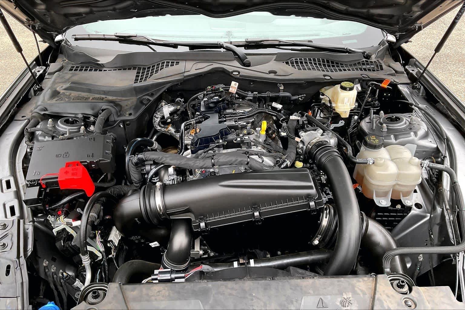 Used 2024 Carbonized Gray Ford EcoBoost Premium image 26
