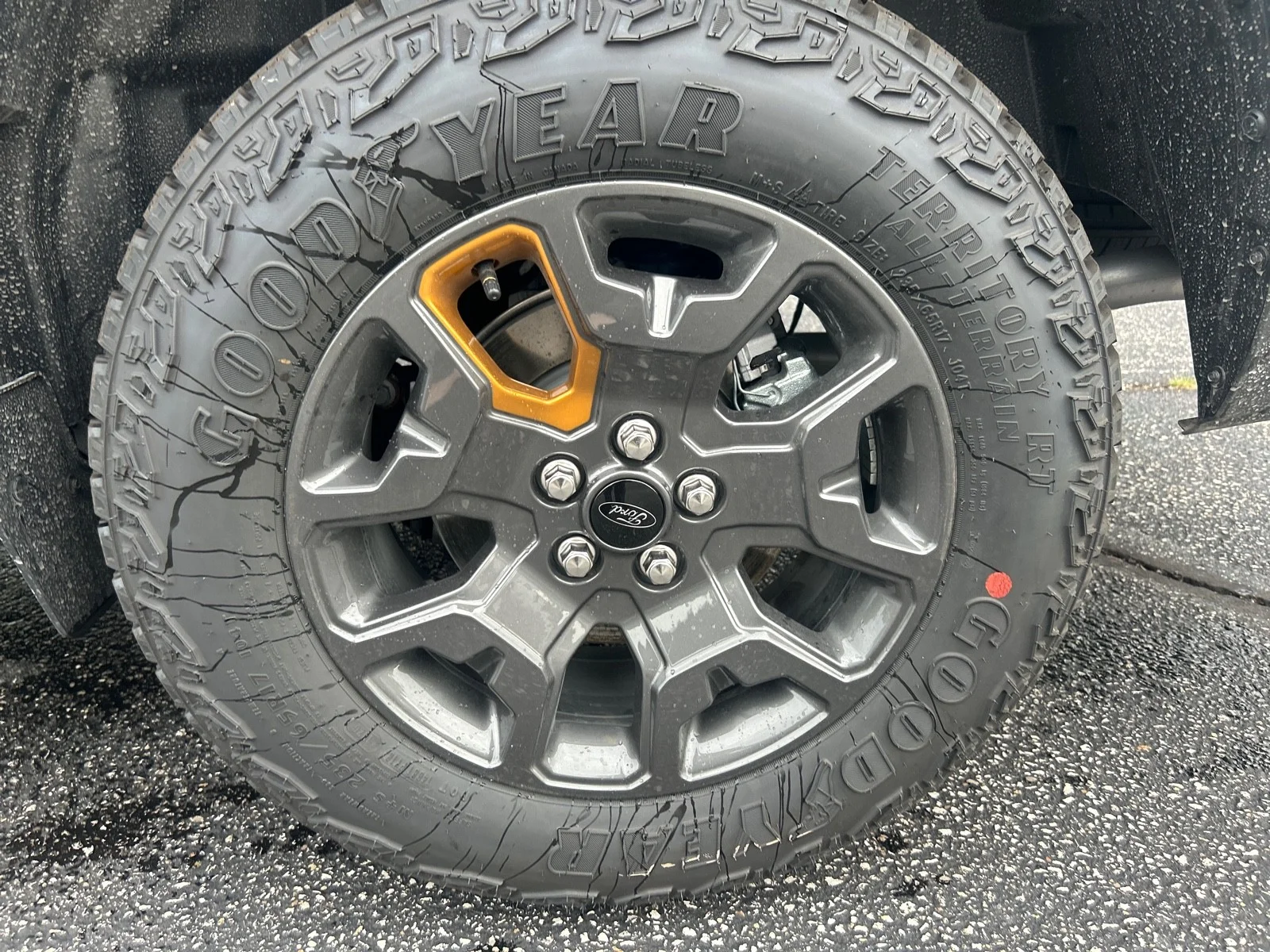 New 2026 Carbonized Gray Metallic Ford Tremor image 10