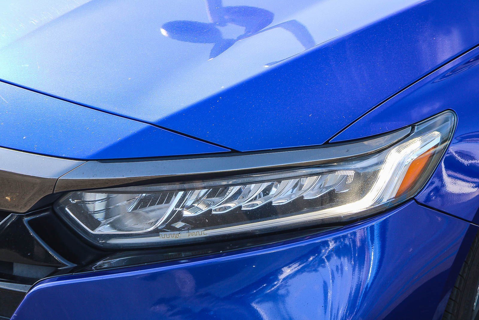 Certified Used 2020 Obsidian Blue Pearl Honda Sport image 4