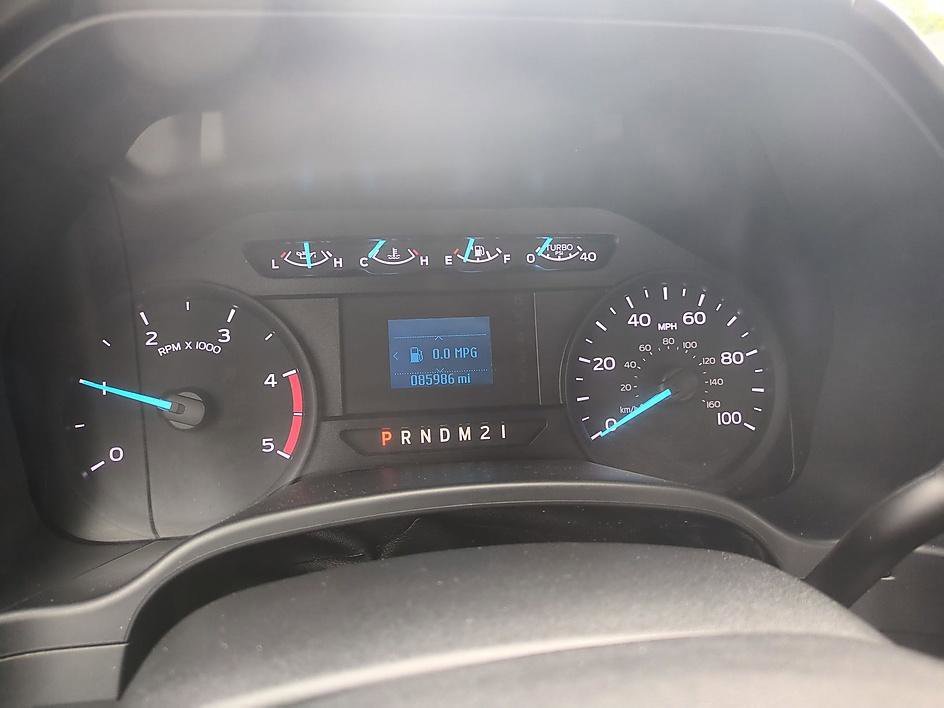 Used 2019 OXFORD WHITE Ford XL image 18