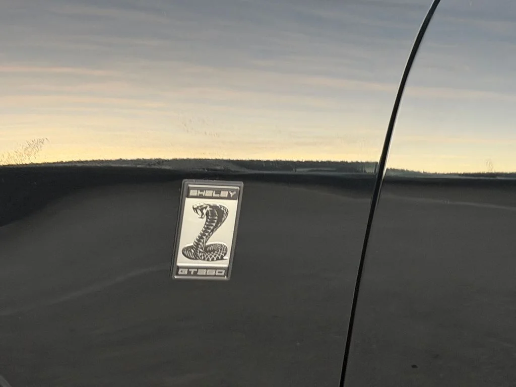 New 2026 Shadow Black Ford GT Premium Fastback image 5