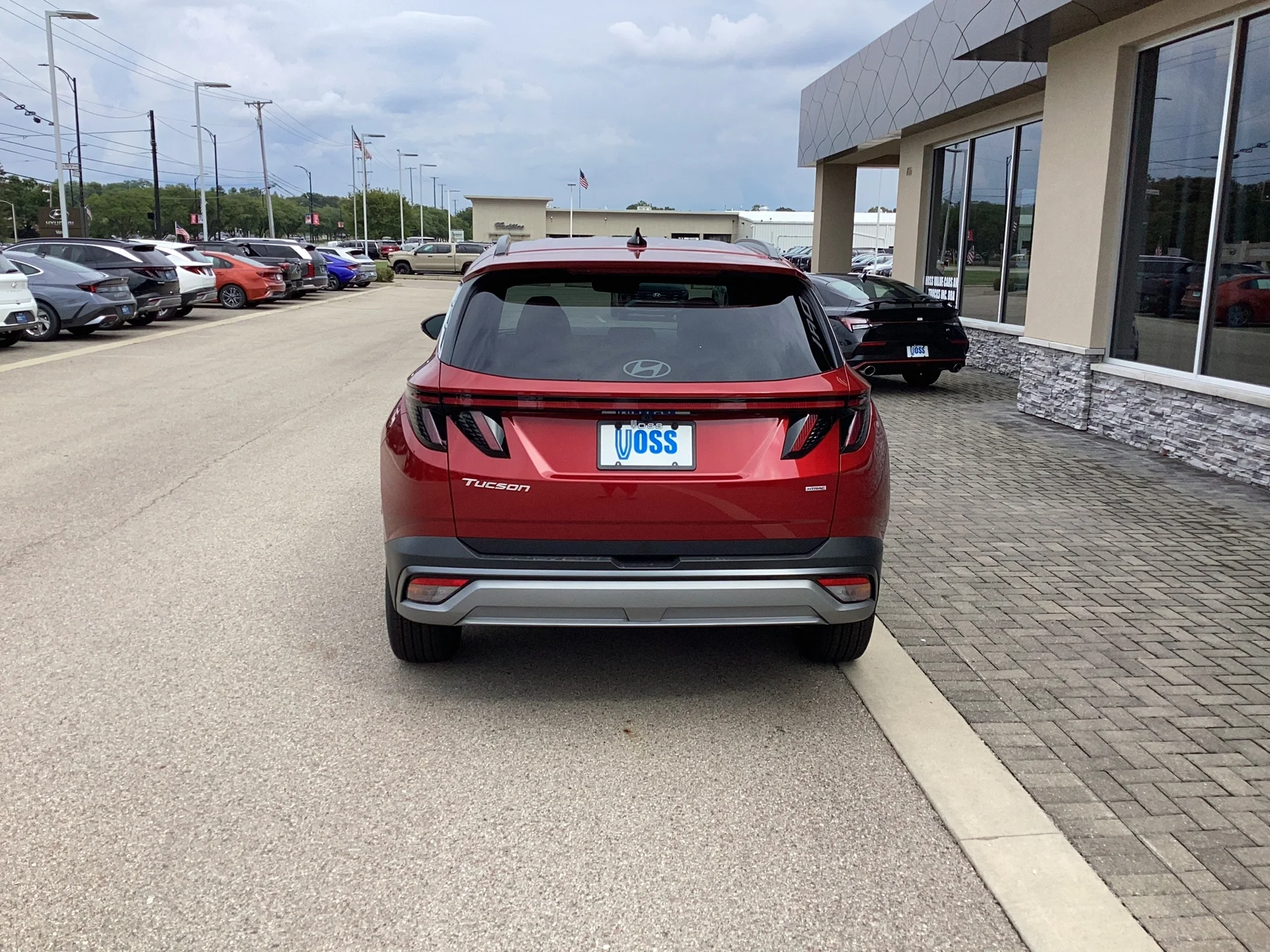 New 2026 Ultimate Red Pearl Hyundai SEL Premium image 7