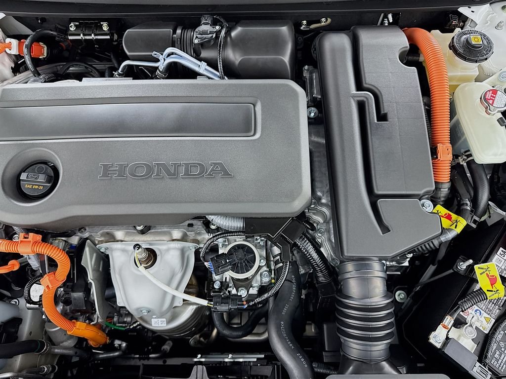 New 2026 Platinum White Pearl Honda Sport image 12