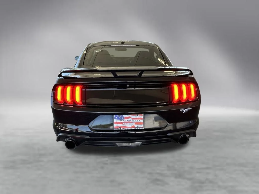 Used 2019 Shadow Black Ford EcoBoost Premium image 5