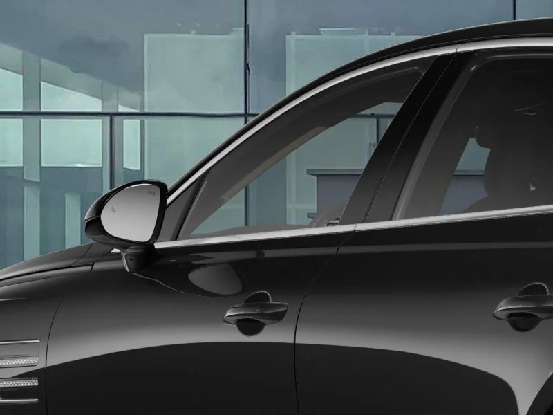 New 2026 Vik Black Genesis 2.5T image 14