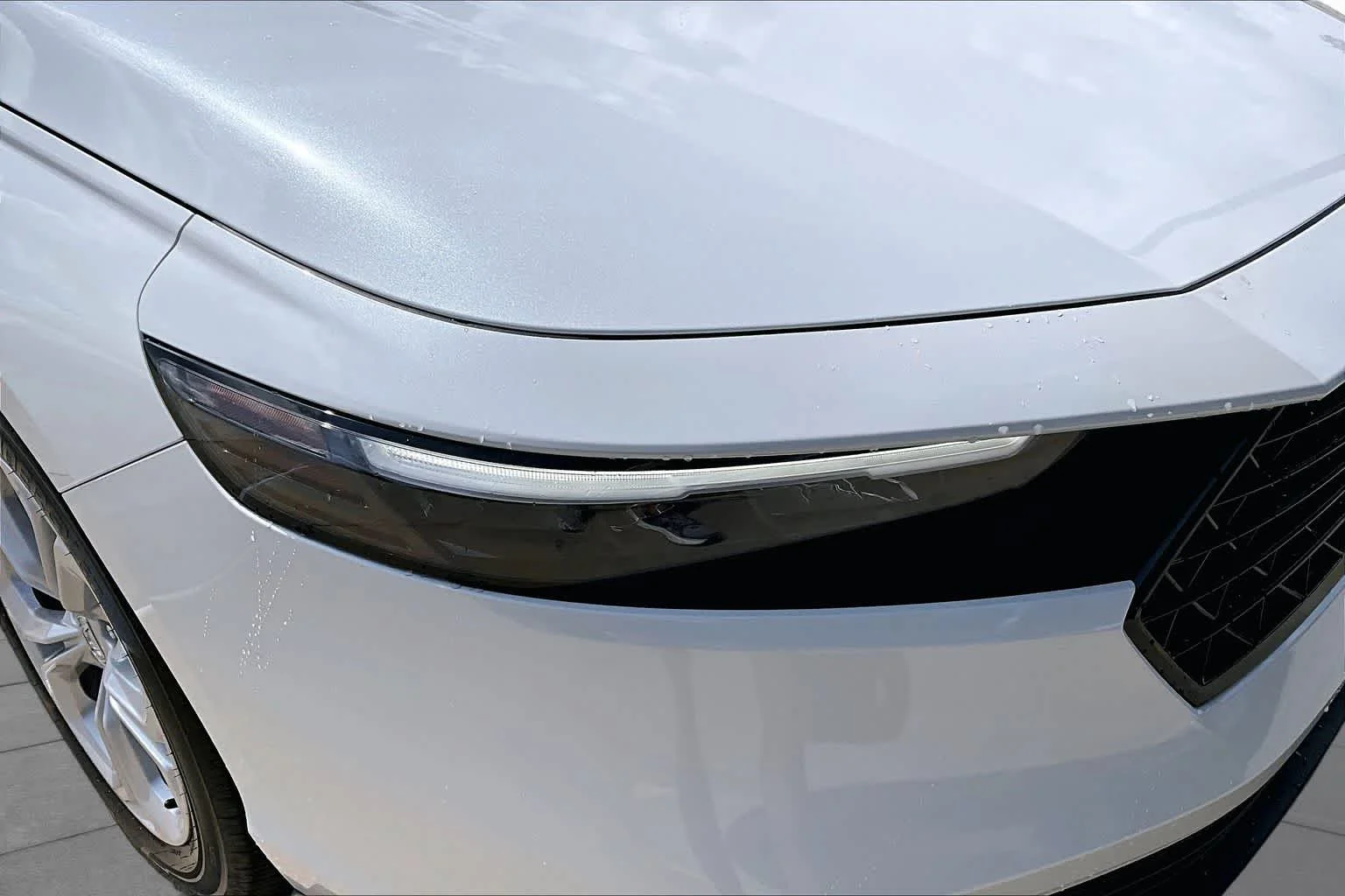New 2026 Platinum White Pearl Honda LX image 13