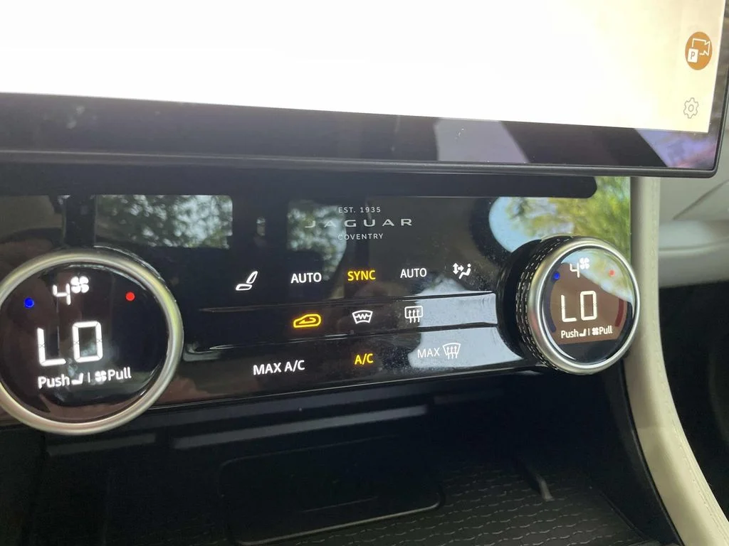 Used 2021 Blue Jaguar P250 image 13