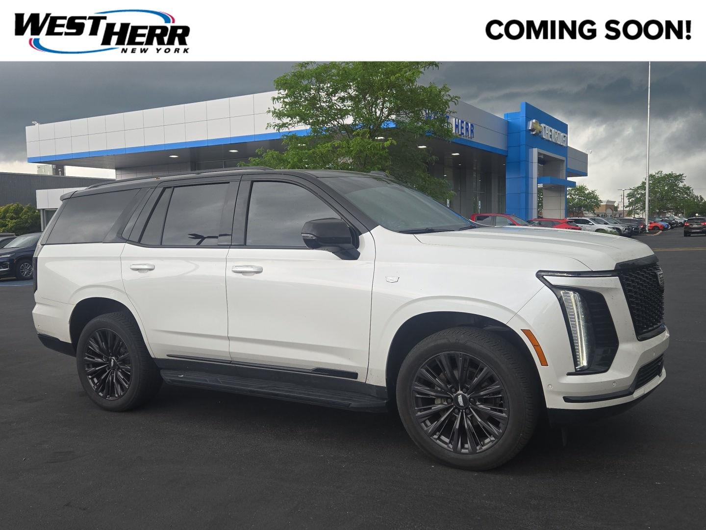 Used 2025 Crystal White Tricoat Cadillac 4WD Sport image 1