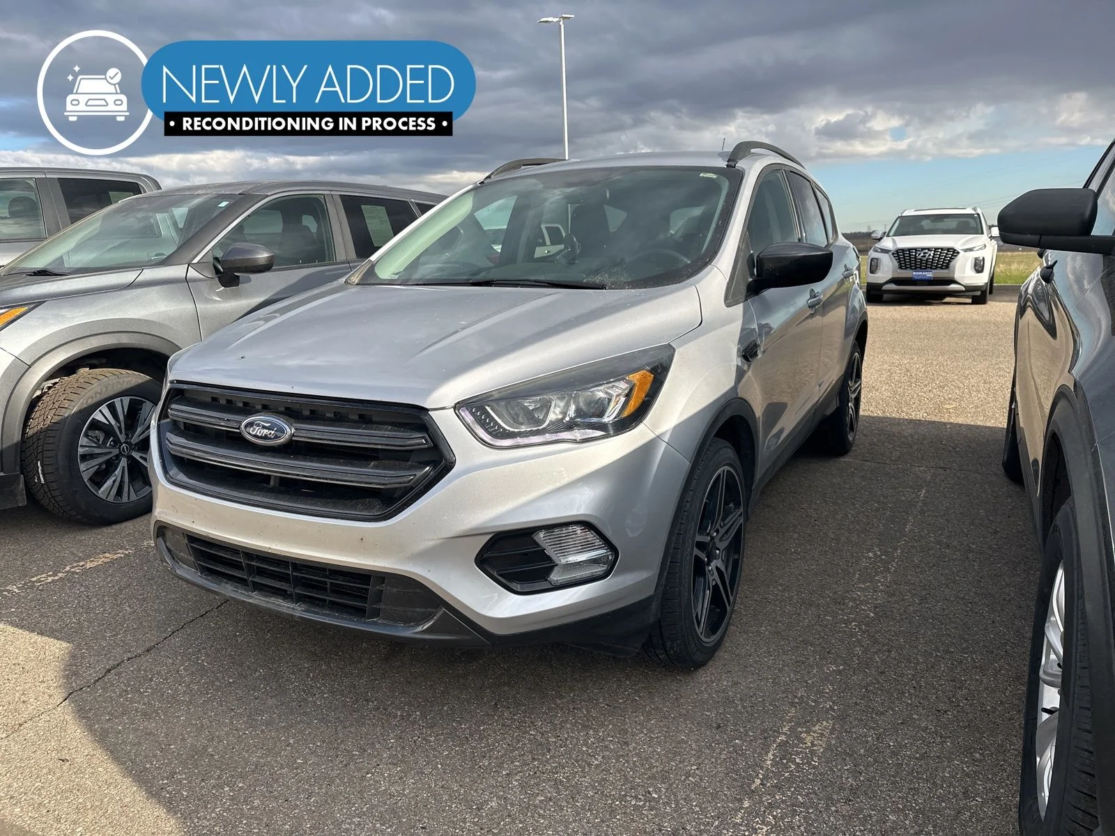 2019 Ford Escape SEL 4WD's photo