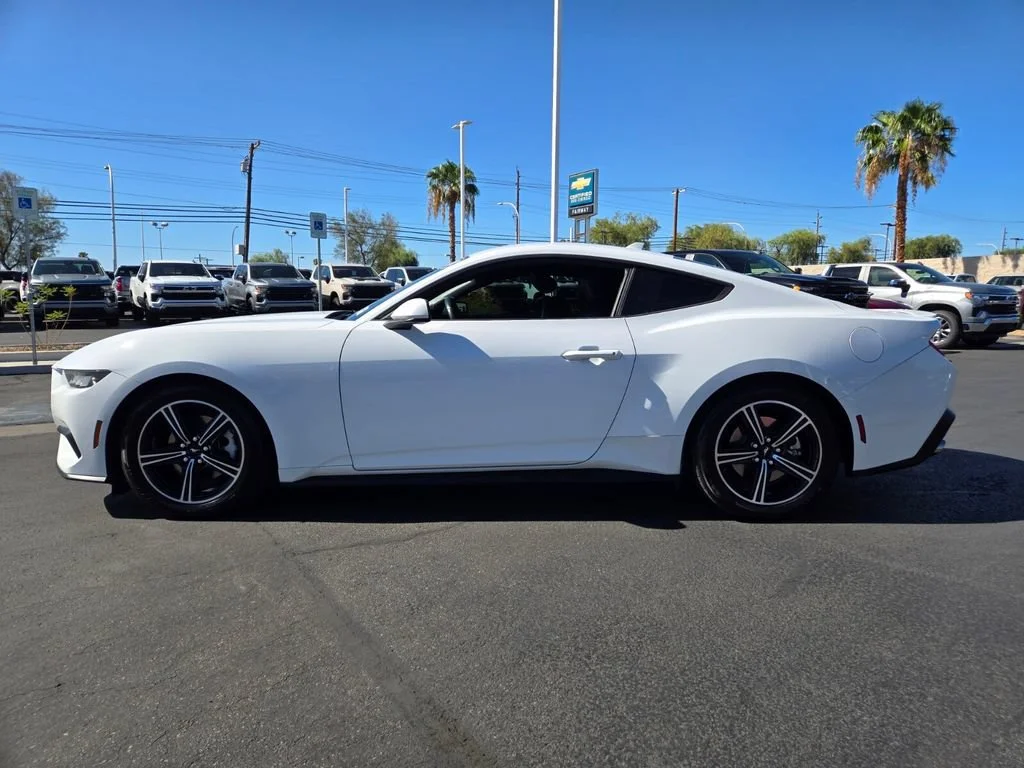 Used 2024 Oxford White Ford EcoBoost image 3