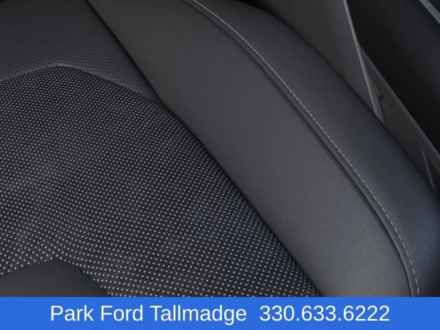 New 2026 Agate Black Metallic Ford Raptor image 16