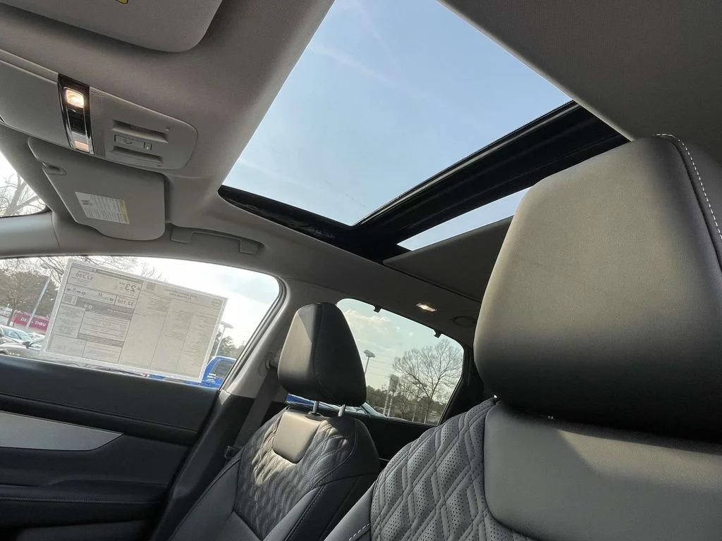 New 2026 Black Nissan Platinum image 15