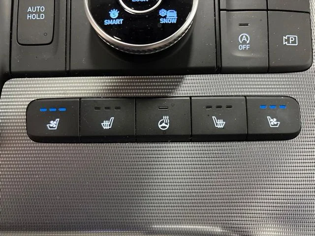 Used 2023 Black Hyundai Calligraphy image 30