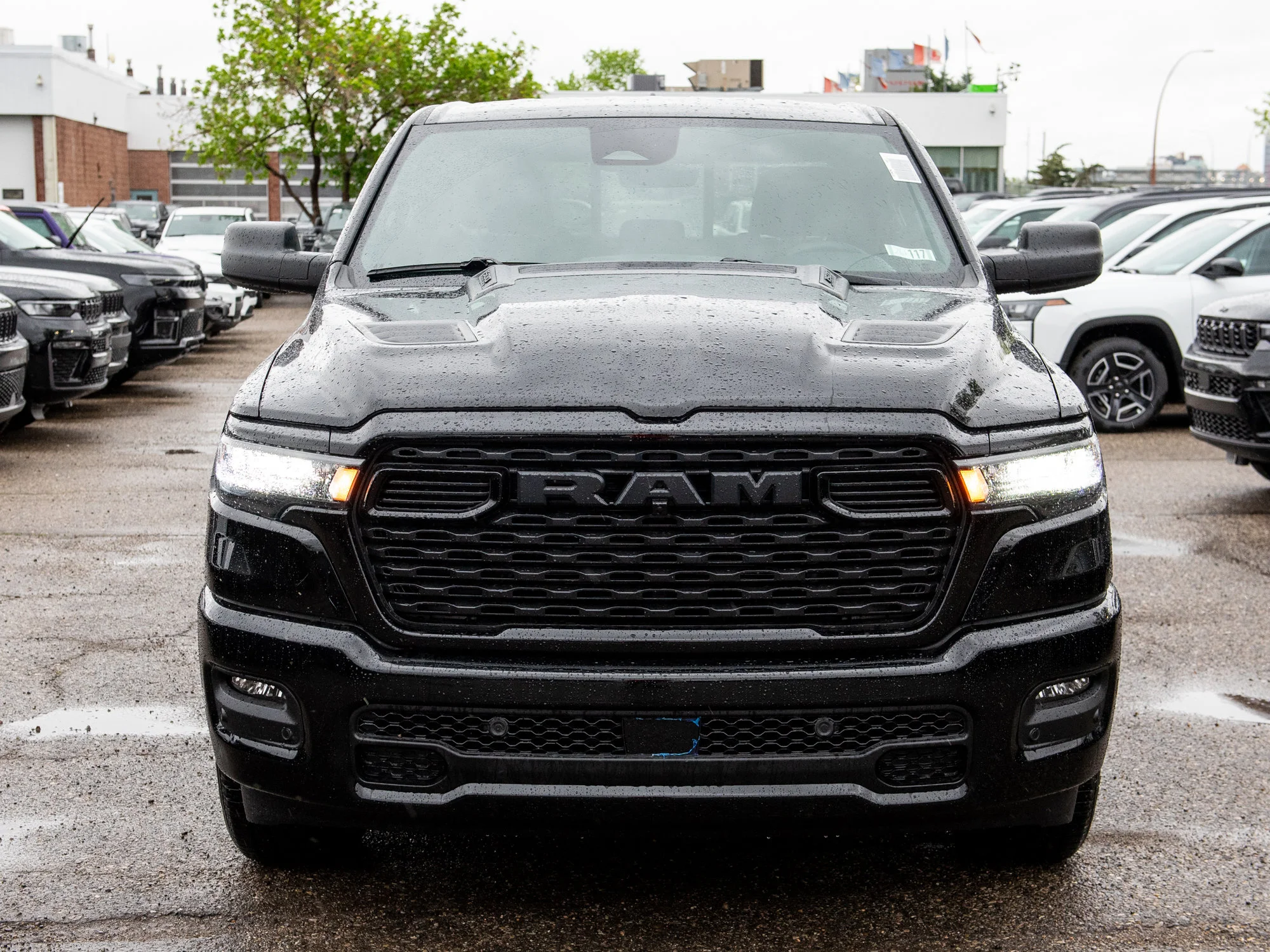 New 2026 Black RAM Express* image 9