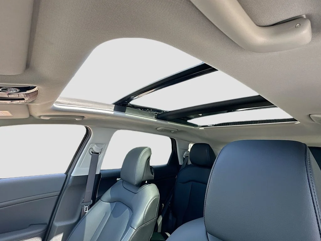 New 2026 Gravity Gray Kia EX image 21