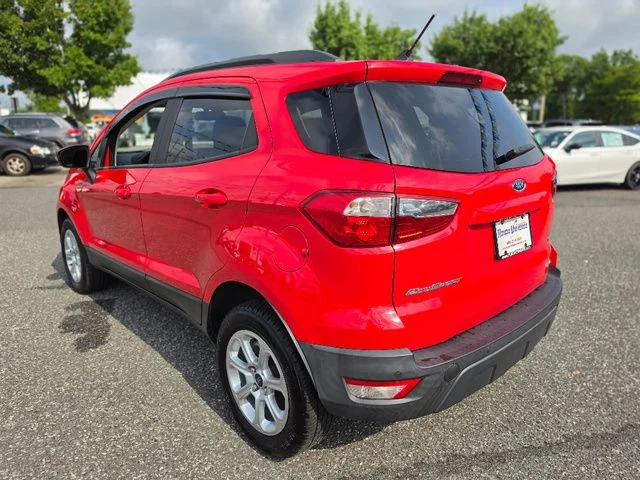 Used 2019 Race Red Ford SE image 3