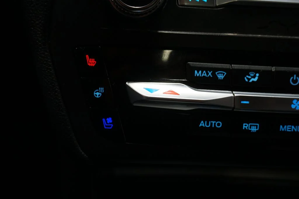 Used 2020 Magnetic Ford Limited image 30