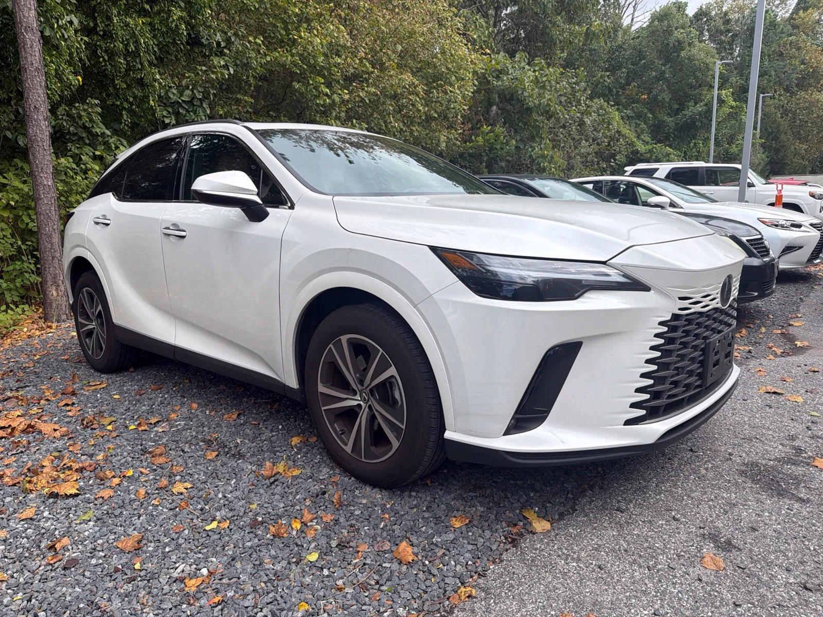 2025 Lexus RX 350