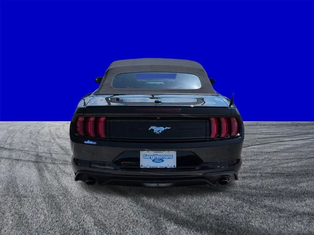 Used 2019 Black Ford EcoBoost Premium image 5
