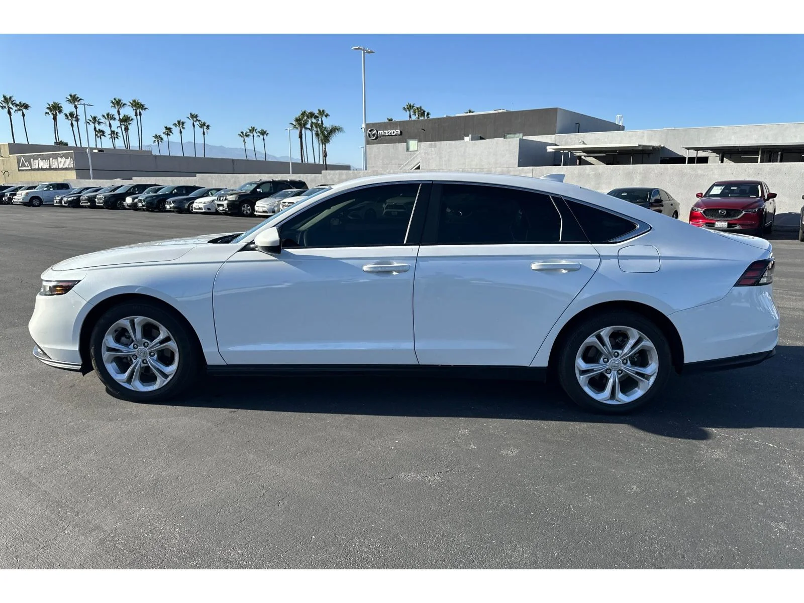 Used 2024 Platinum White Pearl Honda LX image 2