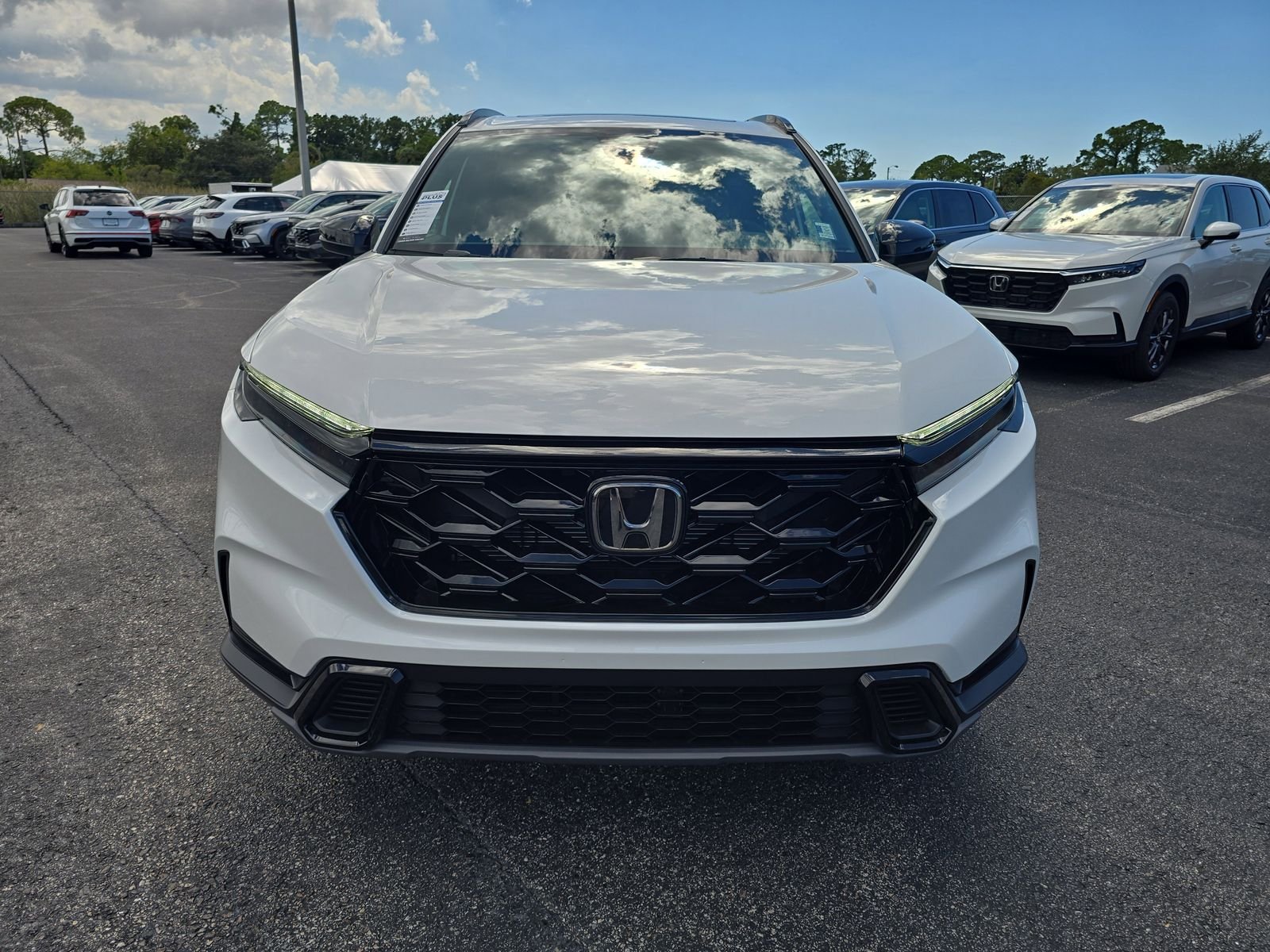 New 2026 Platinum White Pearl Honda Sport image 7