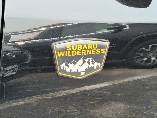 2025 Subaru Outback Wilderness - Photo 8