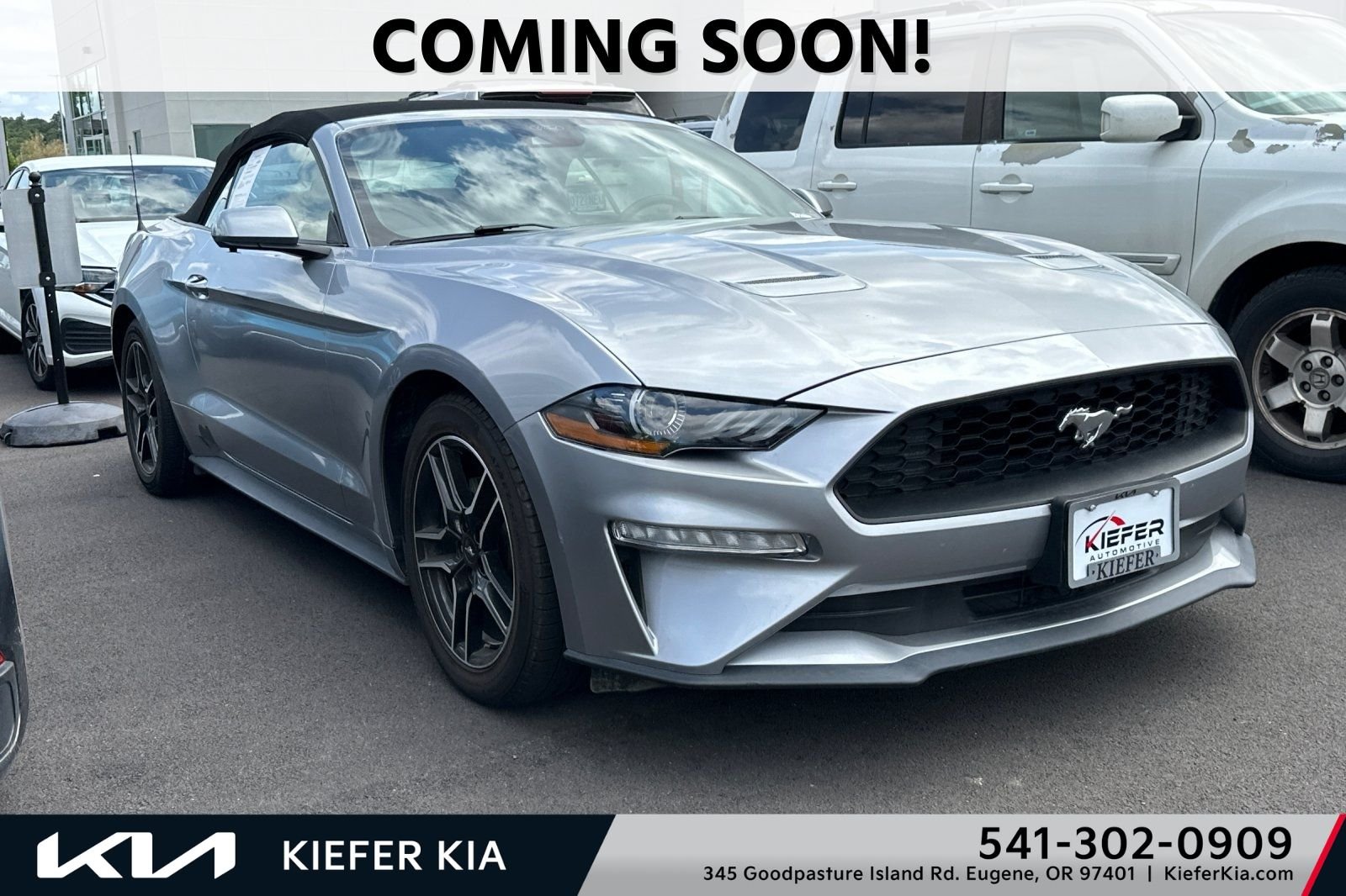 2023 Ford Mustang EcoBoost Premium Convertible's photo