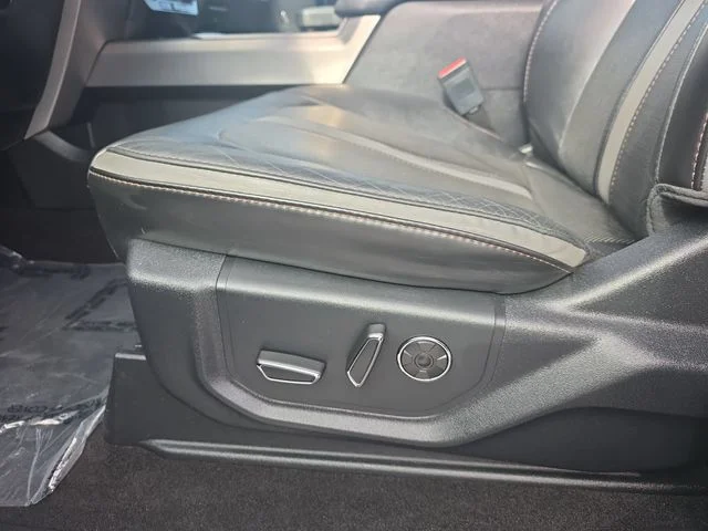Used 2019 Black Ford Platinum image 29