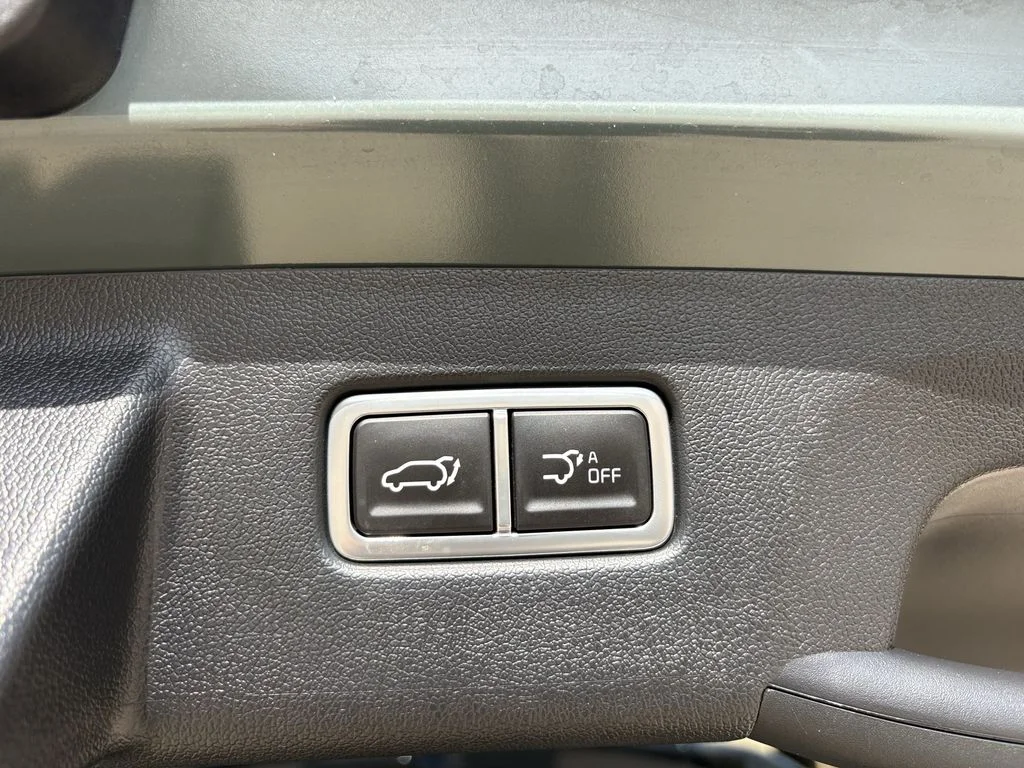 Used 2025 Cityscape Green Kia SX Prestige image 29
