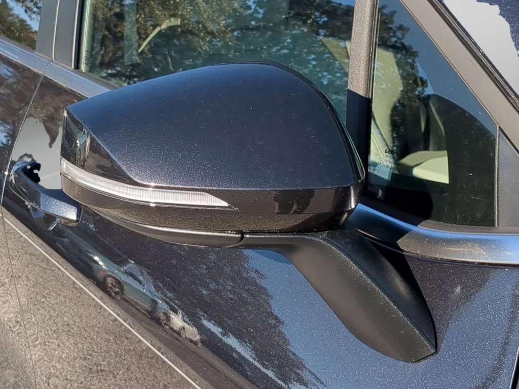 New 2026 Panthera Metal Kia EX image 12