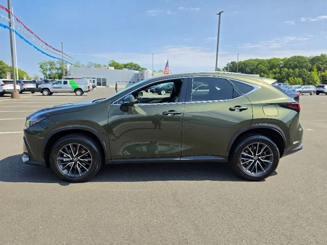 Used 2024 Green Lexus 350 Premium image 4