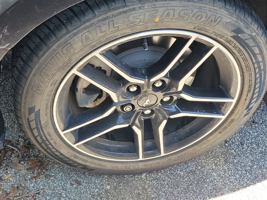 Used 2022 Gray Ford EcoBoost Premium image 3