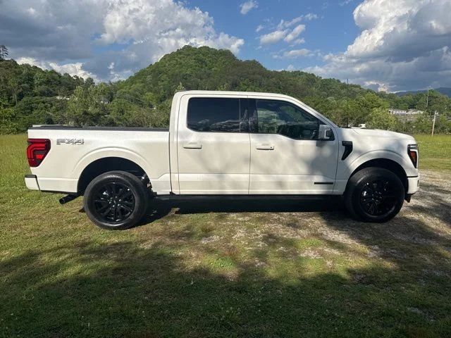 Used 2024 White Ford Platinum image 9