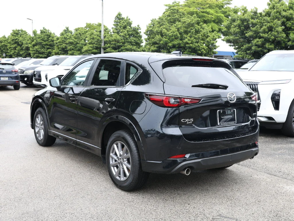 Photo 5