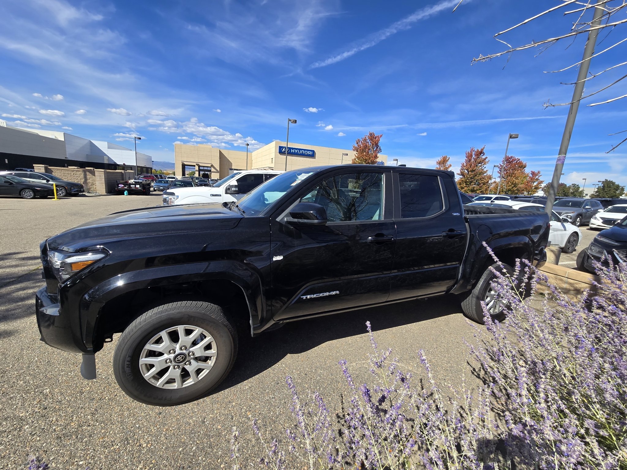Used 2024 Black Toyota SR5 image 2